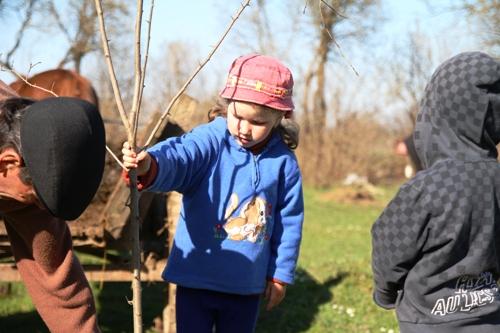 На Бродівщині в рамках акції 